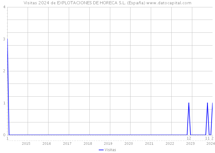 Visitas 2024 de EXPLOTACIONES DE HORECA S.L. (España) 