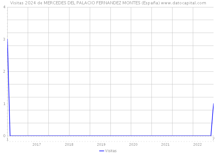 Visitas 2024 de MERCEDES DEL PALACIO FERNANDEZ MONTES (España) 