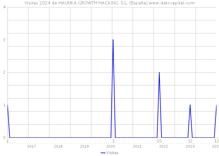 Visitas 2024 de HAUNKA GROWTH HACKING S.L. (España) 