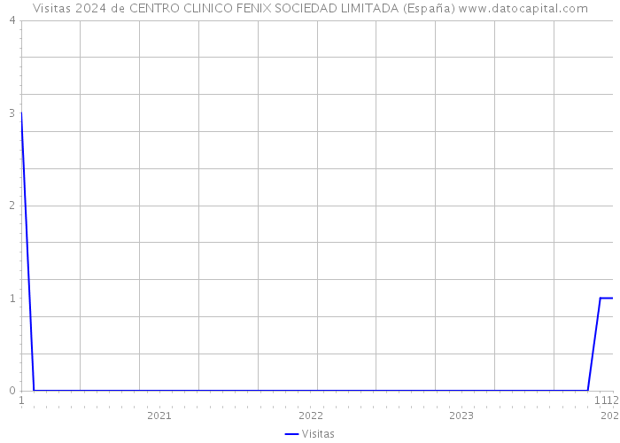 Visitas 2024 de CENTRO CLINICO FENIX SOCIEDAD LIMITADA (España) 