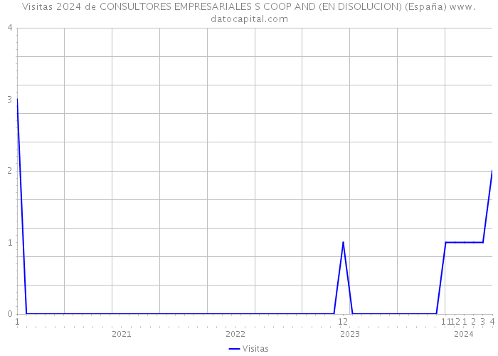 Visitas 2024 de CONSULTORES EMPRESARIALES S COOP AND (EN DISOLUCION) (España) 