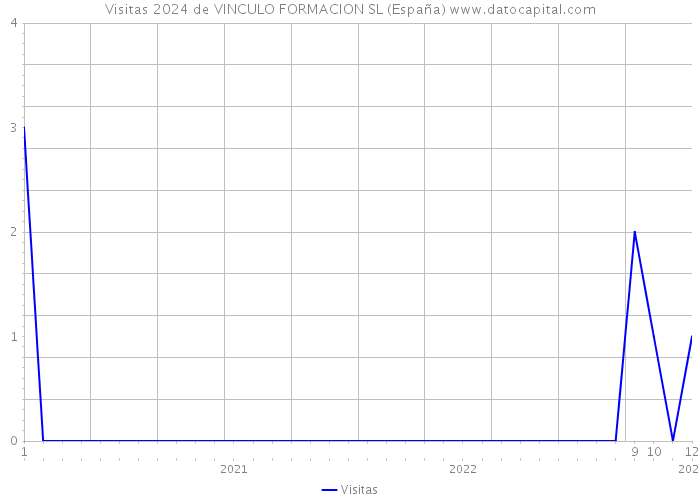 Visitas 2024 de VINCULO FORMACION SL (España) 