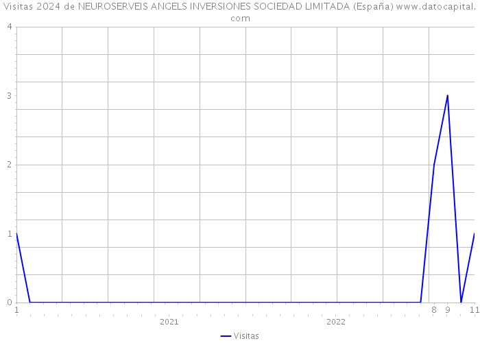 Visitas 2024 de NEUROSERVEIS ANGELS INVERSIONES SOCIEDAD LIMITADA (España) 