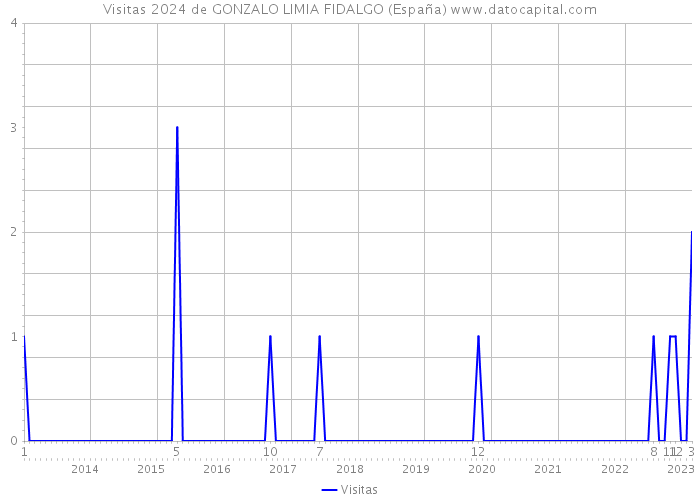 Visitas 2024 de GONZALO LIMIA FIDALGO (España) 