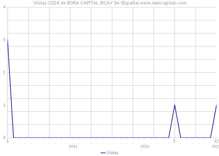 Visitas 2024 de BORA CAPITAL SICAV SA (España) 