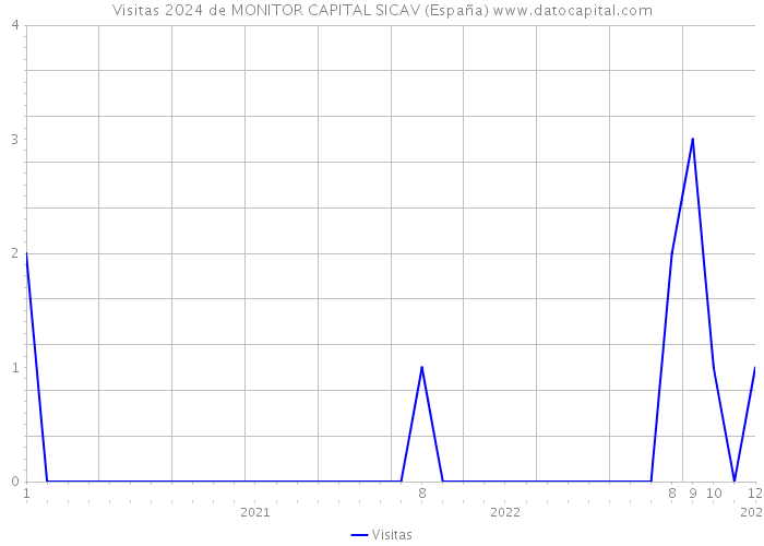 Visitas 2024 de MONITOR CAPITAL SICAV (España) 