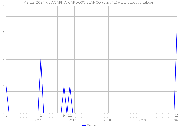 Visitas 2024 de AGAPITA CARDOSO BLANCO (España) 
