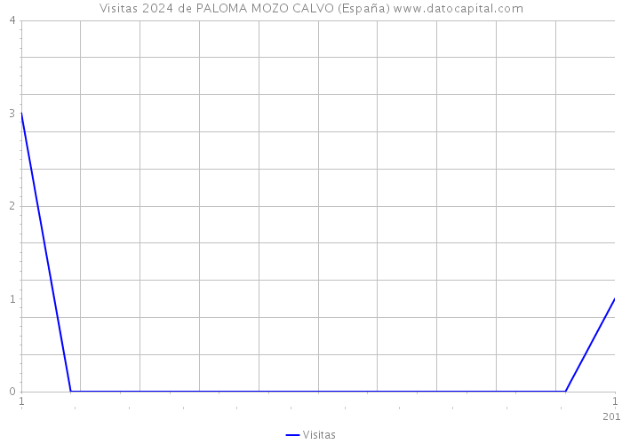 Visitas 2024 de PALOMA MOZO CALVO (España) 
