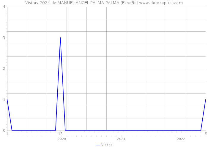 Visitas 2024 de MANUEL ANGEL PALMA PALMA (España) 