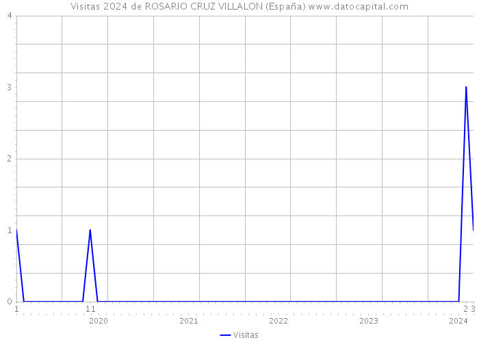 Visitas 2024 de ROSARIO CRUZ VILLALON (España) 