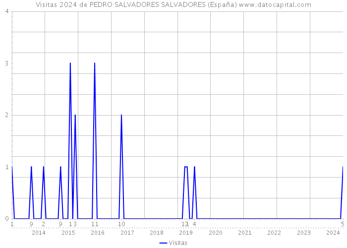 Visitas 2024 de PEDRO SALVADORES SALVADORES (España) 