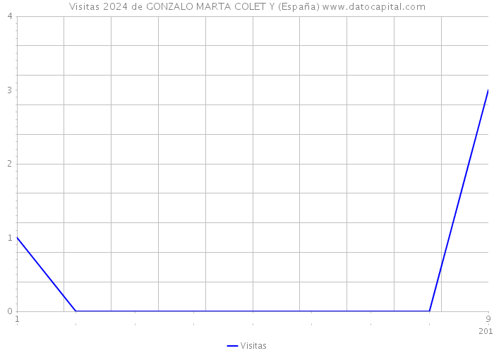 Visitas 2024 de GONZALO MARTA COLET Y (España) 