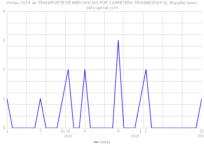 Visitas 2024 de TRANSPORTE DE MERCANCIAS POR CARRETERA TRANSBORSOI SL (España) 