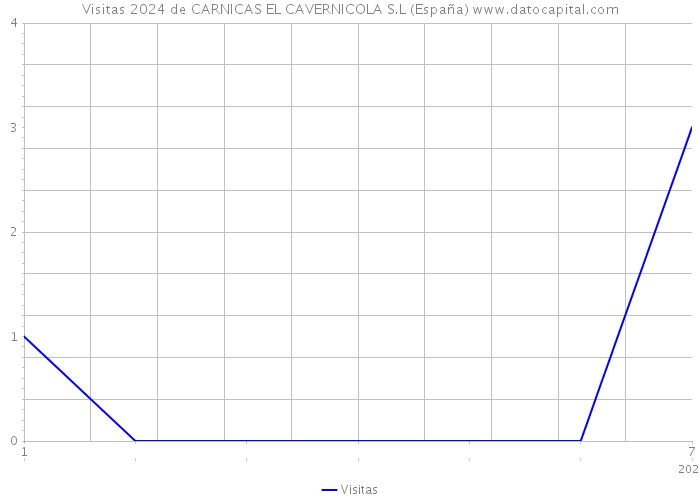 Visitas 2024 de CARNICAS EL CAVERNICOLA S.L (España) 