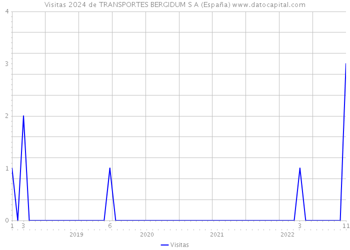 Visitas 2024 de TRANSPORTES BERGIDUM S A (España) 