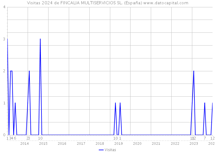 Visitas 2024 de FINCALIA MULTISERVICIOS SL. (España) 