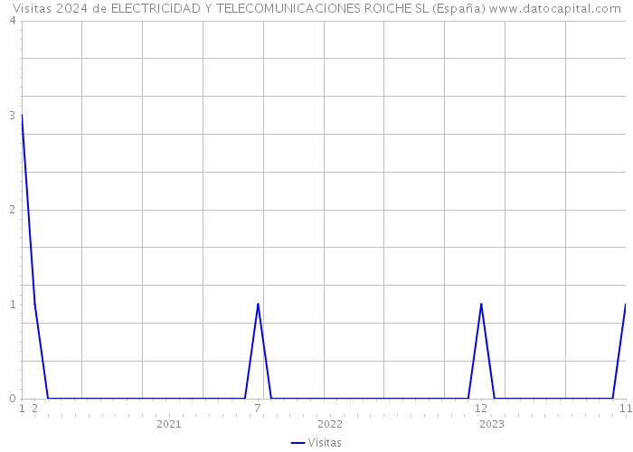 Visitas 2024 de ELECTRICIDAD Y TELECOMUNICACIONES ROICHE SL (España) 