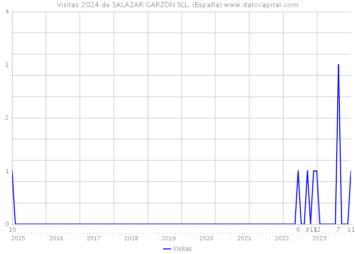 Visitas 2024 de SALAZAR GARZON SLL. (España) 