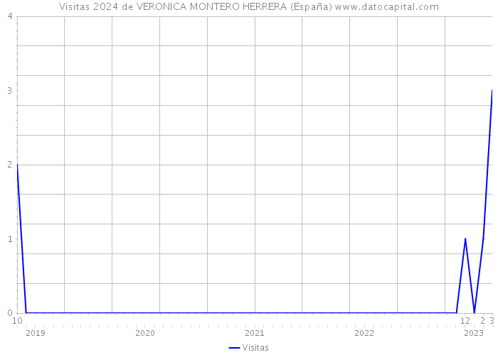 Visitas 2024 de VERONICA MONTERO HERRERA (España) 