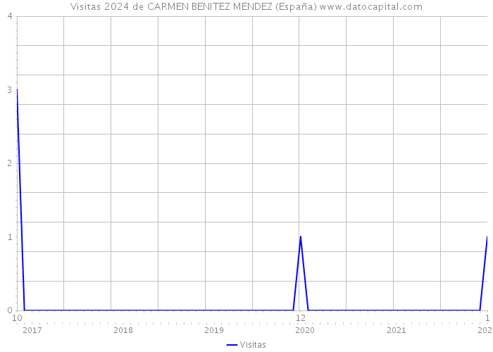 Visitas 2024 de CARMEN BENITEZ MENDEZ (España) 