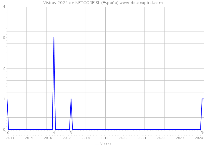 Visitas 2024 de NETCORE SL (España) 