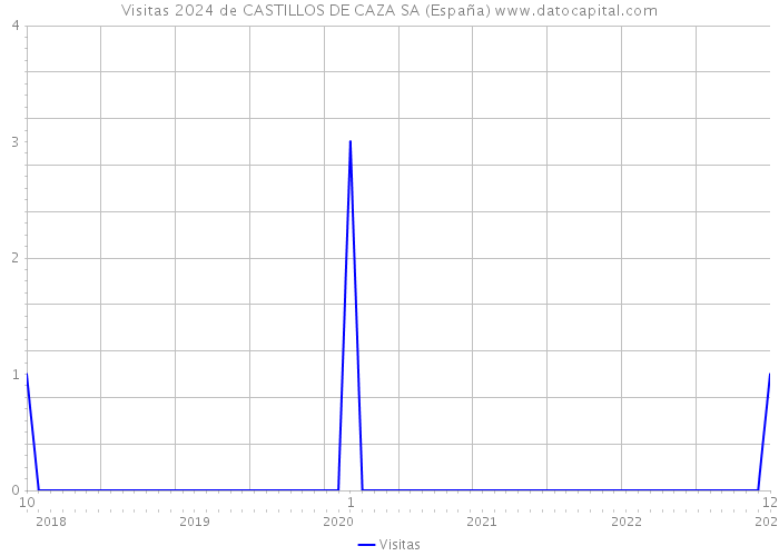 Visitas 2024 de CASTILLOS DE CAZA SA (España) 