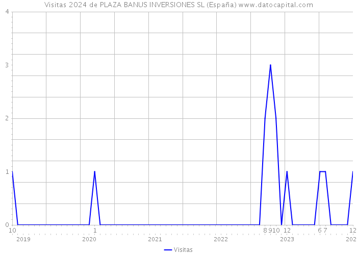 Visitas 2024 de PLAZA BANUS INVERSIONES SL (España) 