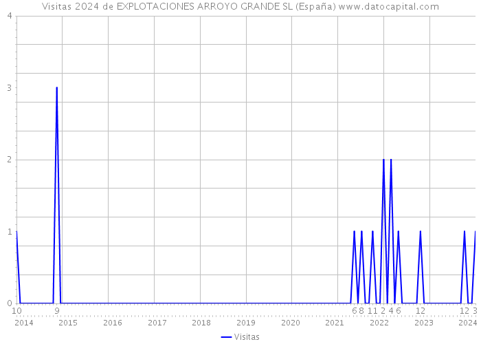 Visitas 2024 de EXPLOTACIONES ARROYO GRANDE SL (España) 
