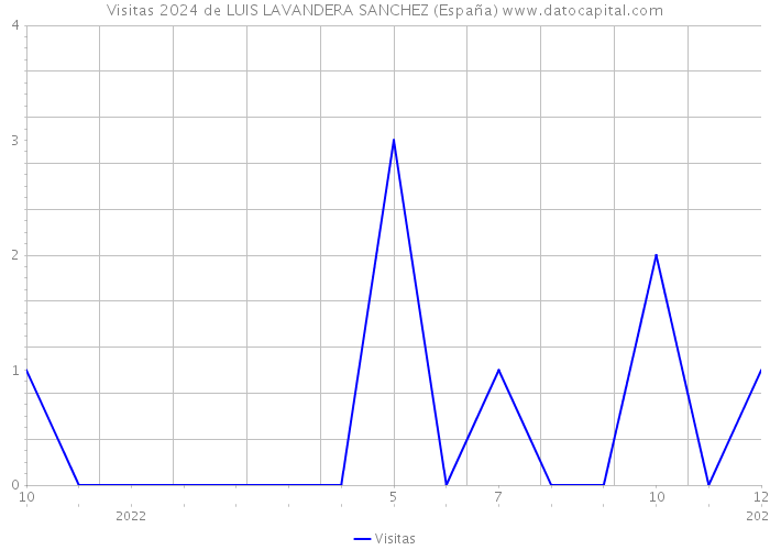 Visitas 2024 de LUIS LAVANDERA SANCHEZ (España) 