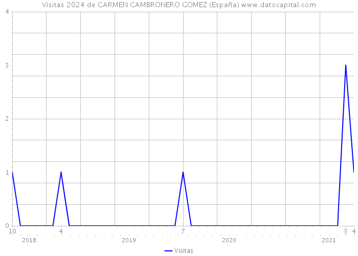 Visitas 2024 de CARMEN CAMBRONERO GOMEZ (España) 