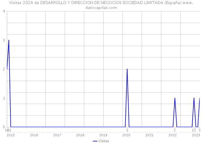 Visitas 2024 de DESARROLLO Y DIRECCION DE NEGOCIOS SOCIEDAD LIMITADA (España) 