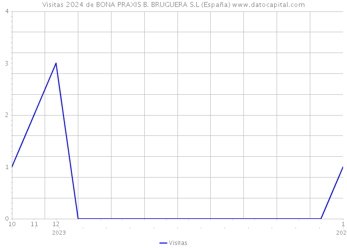 Visitas 2024 de BONA PRAXIS B. BRUGUERA S.L (España) 