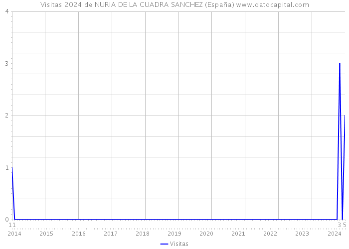 Visitas 2024 de NURIA DE LA CUADRA SANCHEZ (España) 