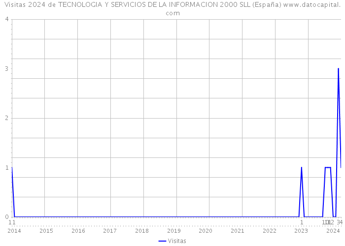 Visitas 2024 de TECNOLOGIA Y SERVICIOS DE LA INFORMACION 2000 SLL (España) 