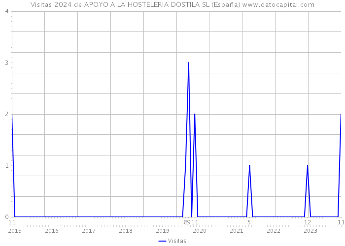 Visitas 2024 de APOYO A LA HOSTELERIA DOSTILA SL (España) 