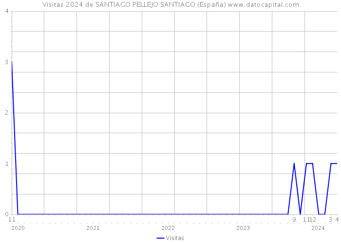 Visitas 2024 de SANTIAGO PELLEJO SANTIAGO (España) 