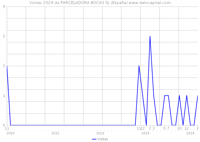 Visitas 2024 de PARCELADORA BOCAS SL (España) 