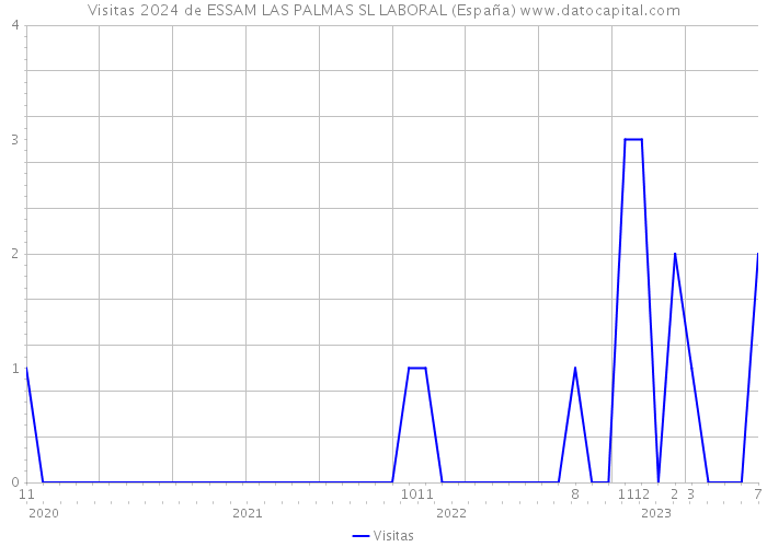 Visitas 2024 de ESSAM LAS PALMAS SL LABORAL (España) 