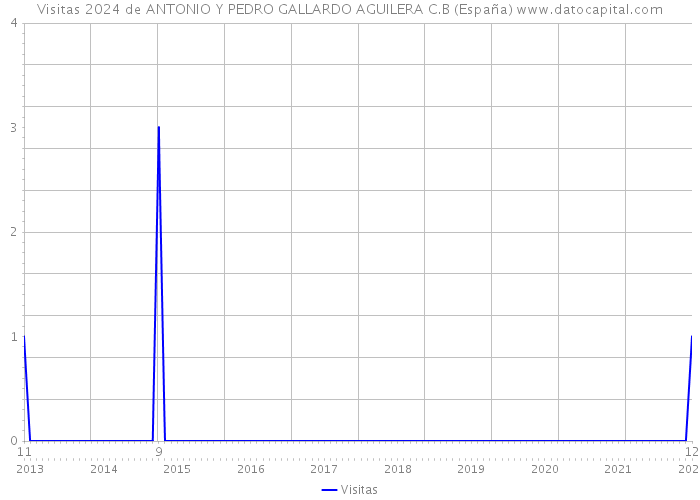 Visitas 2024 de ANTONIO Y PEDRO GALLARDO AGUILERA C.B (España) 