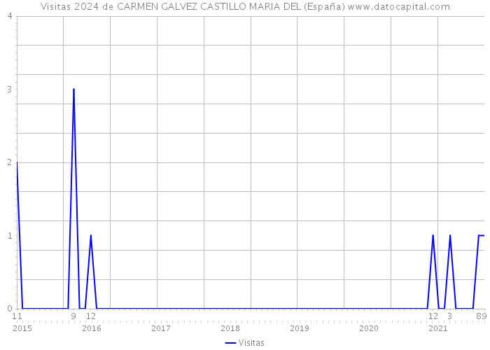 Visitas 2024 de CARMEN GALVEZ CASTILLO MARIA DEL (España) 