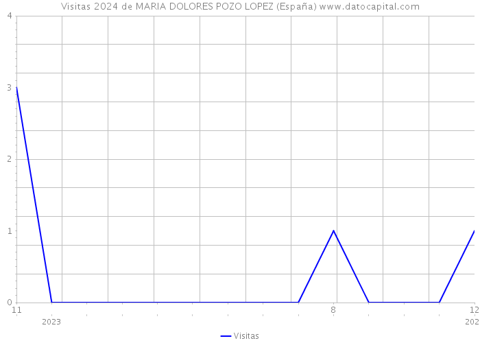 Visitas 2024 de MARIA DOLORES POZO LOPEZ (España) 