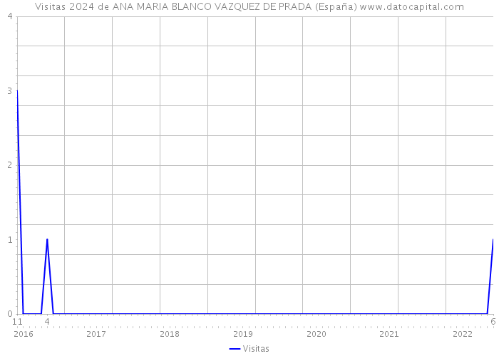 Visitas 2024 de ANA MARIA BLANCO VAZQUEZ DE PRADA (España) 