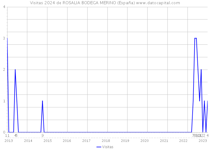 Visitas 2024 de ROSALIA BODEGA MERINO (España) 