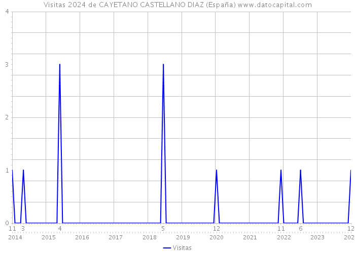 Visitas 2024 de CAYETANO CASTELLANO DIAZ (España) 