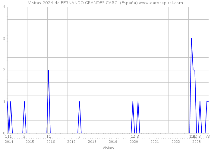 Visitas 2024 de FERNANDO GRANDES CARCI (España) 