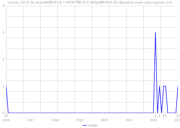 Visitas 2024 de AISLAMIENTOS Y MORTEROS FUENLABRADA SL (España) 