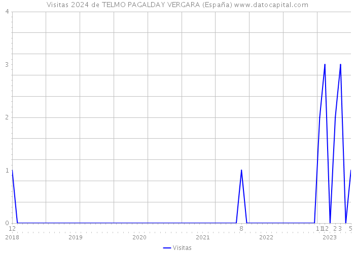 Visitas 2024 de TELMO PAGALDAY VERGARA (España) 