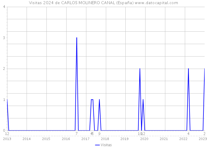 Visitas 2024 de CARLOS MOLINERO CANAL (España) 