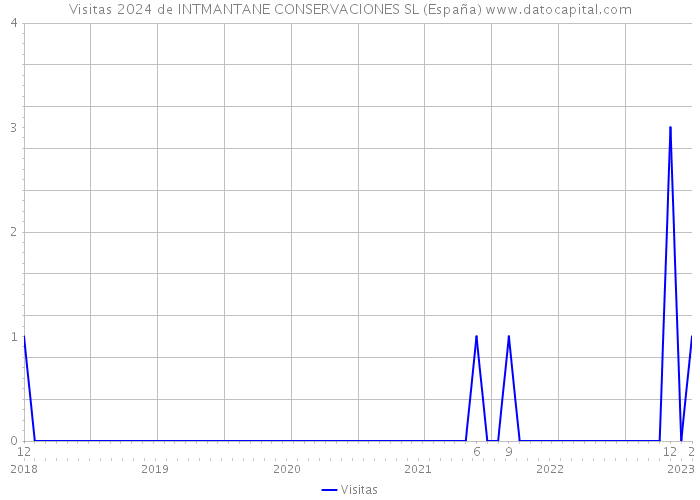 Visitas 2024 de INTMANTANE CONSERVACIONES SL (España) 
