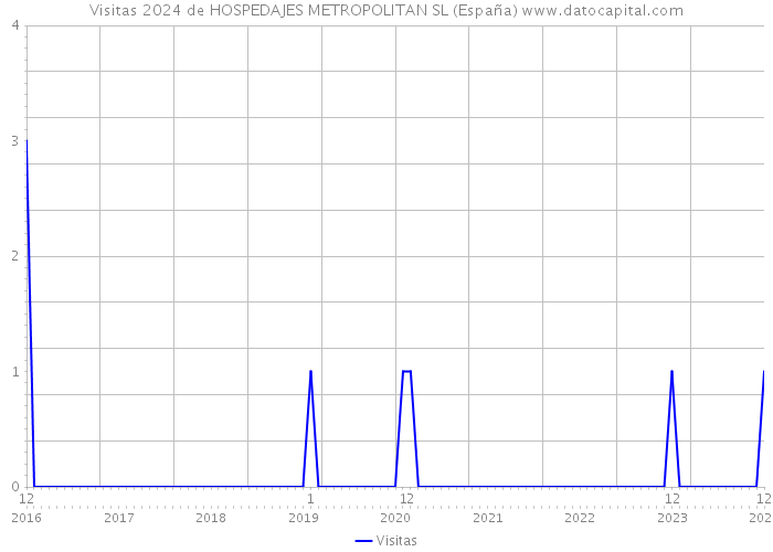Visitas 2024 de HOSPEDAJES METROPOLITAN SL (España) 